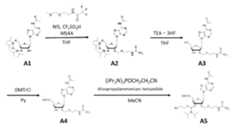 Figure JPOXMLDOC01-appb-C000022