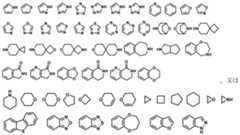 Figure 2022507724000019