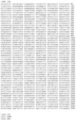 Figure IDA00002091897101381