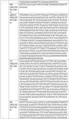 Figure BDA0004033970230005051