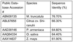 Figure imgf000024_0002