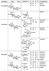 Figure imgf000017_0001