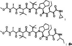 Figure BSA00000606821201543