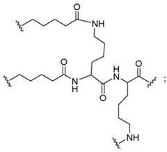 Figure BDA0003357312860004562