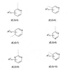 Figure 110144886-A0101-12-0020-29