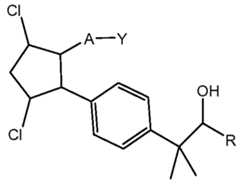 Figure imgf000016_0004