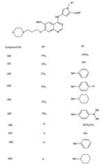 Figure imgf000025_0001