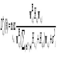 Figure 112006071726654-pat00004