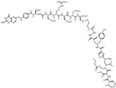 Figure imgf000099_0001