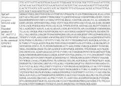 Figure imgf000145_0001