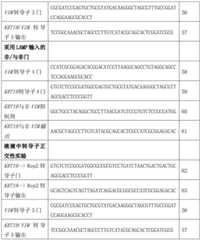 Figure BDA0002669734940000251