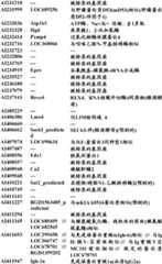 Figure BDA0000057170160001581