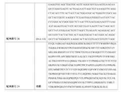 Figure 0007483732000031