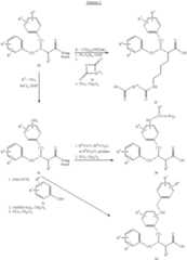 Figure US06310078-20011030-C00005