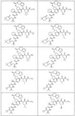 Figure imgf000356_0001