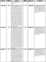 Figure BSA0000239808480000811