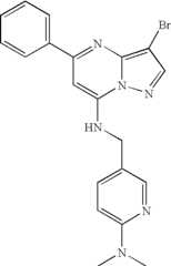 Figure US07119200-20061010-C01276