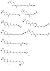 Figure imgf000190_0001