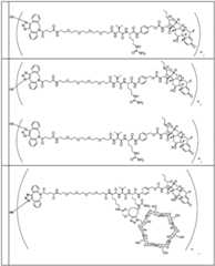 Figure BDA0002889616220001351