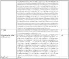 Figure imgf000033_0001