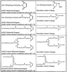 Figure imgf000051_0001