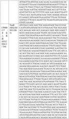 Figure BDA0004033970230005361