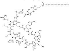 Figure imgf000172_0001