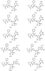 Figure imgf000043_0001