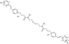 Figure imgf000015_0001