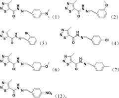 Figure BDA0000022859190000062