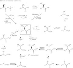 Figure US08329159-20121211-C00017