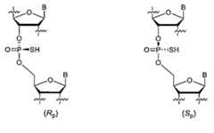 Figure 0007646616000010