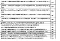 Figure 2022120155000028