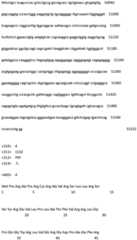 Figure IDA0000842586450000451