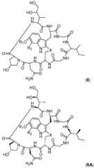 Figure imgf000135_0001