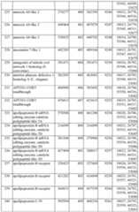 Figure imgf000125_0001