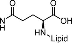 Figure AU2015274574B2_D0001