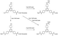 Figure imgf000073_0001