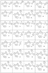 Figure 0006990229000029