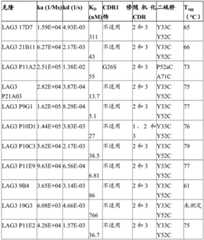 Figure BDA0002581779010000561