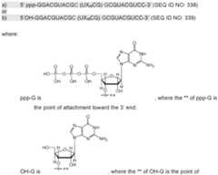 Figure imgf000212_0002