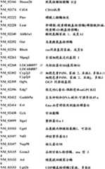 Figure BDA0000057170160001731