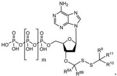 Figure BDA0003670511740003392