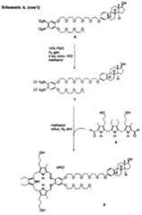 Figure imgf000050_0001