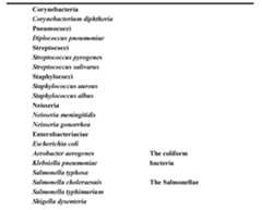 Figure imgf000173_0001