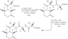 Figure US08044173-20111025-C00022