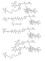 Figure imgf000293_0001