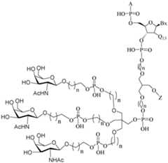 Figure imgf000511_0001