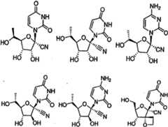 Figure imgf000003_0001