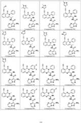 Figure imgf000121_0001